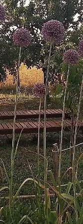 La Porta Stretta Casa de hóspedes 3*