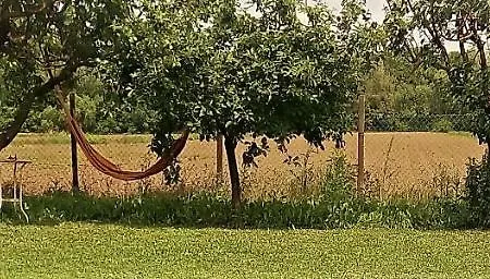 La Porta Stretta 3* Pádua